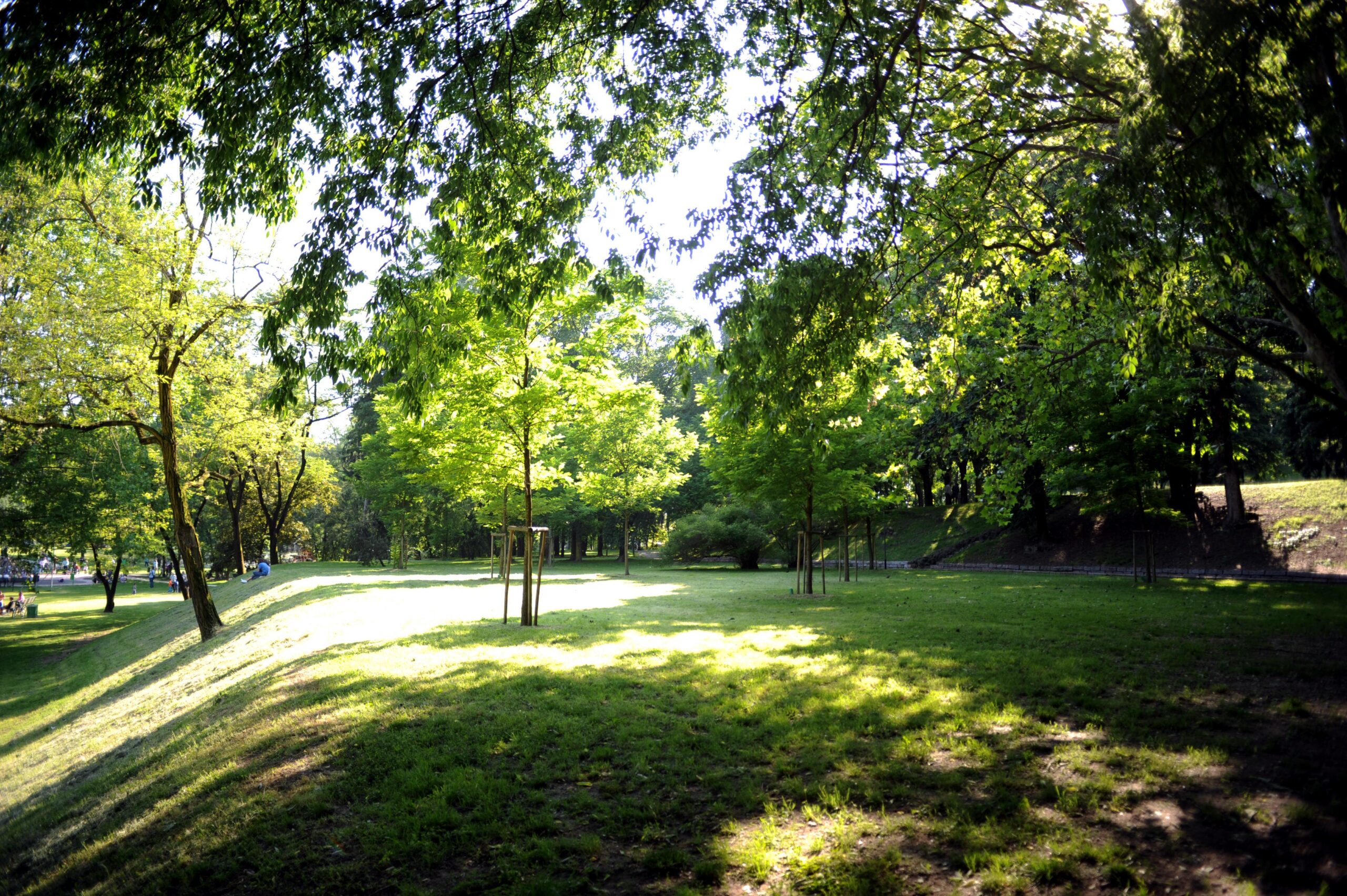 Ambiente, pubblicato il nuovo quaderno ISPRA “I Piani comunali del verde”