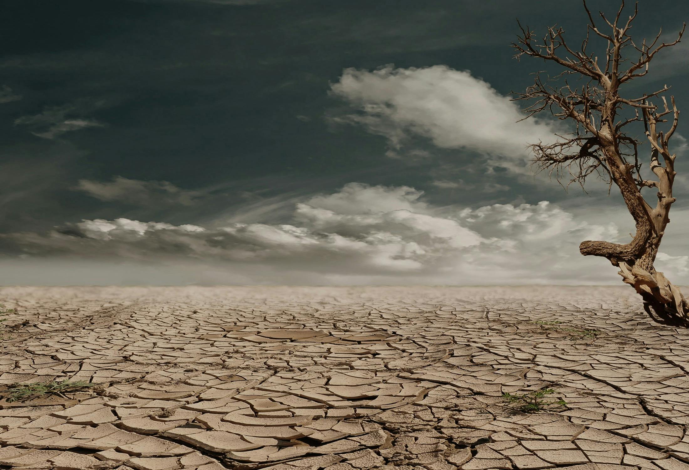 Accordo Anci-Sigea per iniziative formative su rischio geologico e cambiamento climatico