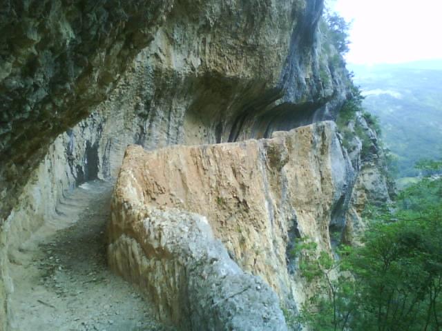 Anci