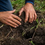 Il 25 novembre a Pisa confronto nazionale sulle politiche agricole e alimentari