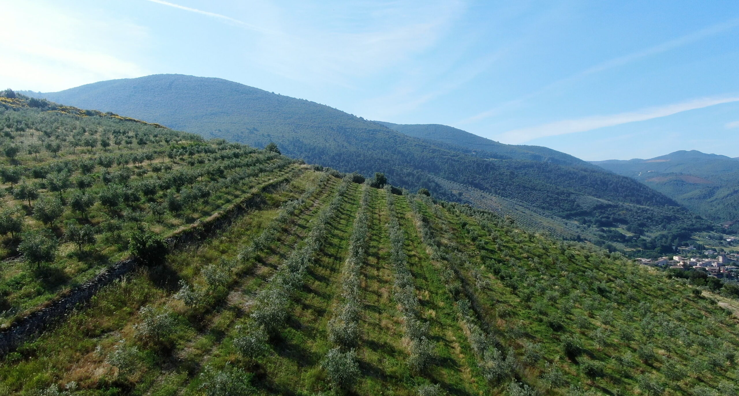 Il 25 novembre a Pisa confronto nazionale sulle politiche agricole e alimentari