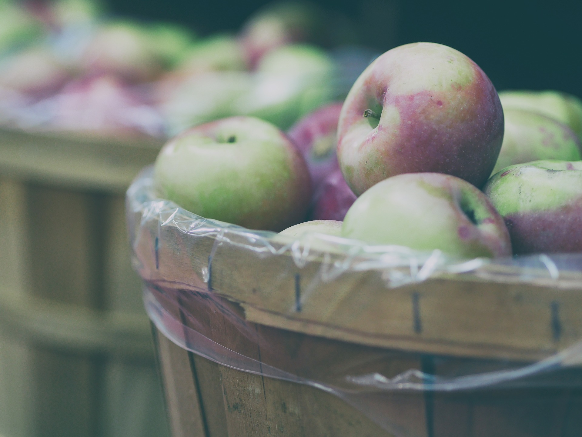 Corte Costituzionale su DeCo a tutela delle produzioni agroalimentari ed enogastronomiche 