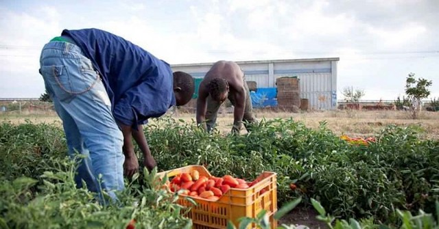 Contrasto allo sfruttamento e caporalato: progetto InCaS, le testimonianze dei sindaci