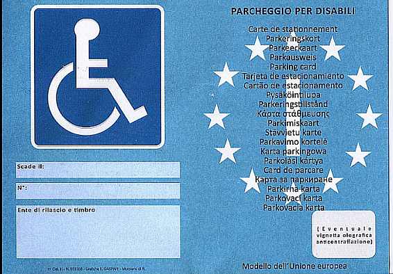 Avviata la Banca dati unica per la mobilità delle persone con disabilità sul territorio nazionale