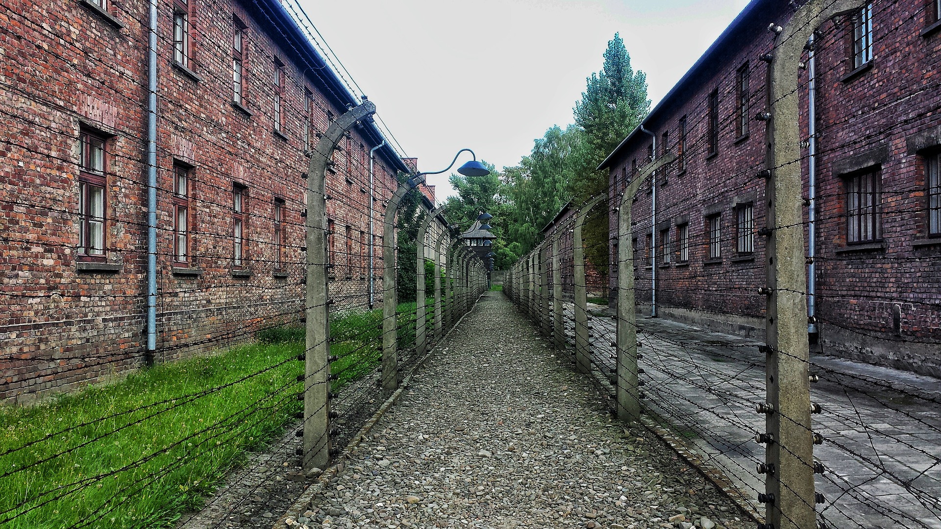 Giornata della memoria, il ricordo e il monito dei sindaci per non dimenticare